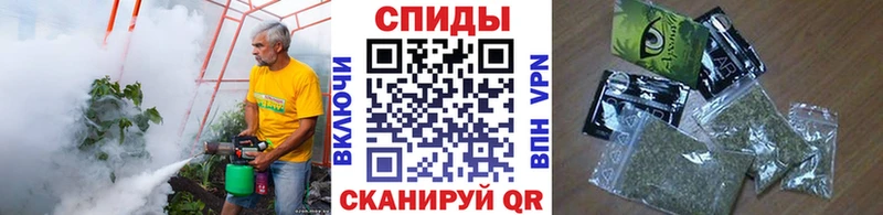 shop состав  цена   Канск  Бутират вода 