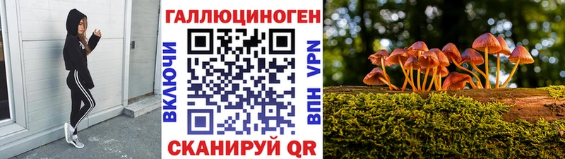 Галлюциногенные грибы Psilocybe  Канск 